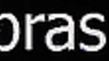 spring break real cell phone video mashup from south padre island texas